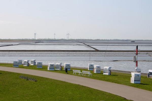 Strandk&ouml;rbe am Husumer Dockkoog bei Ebbe