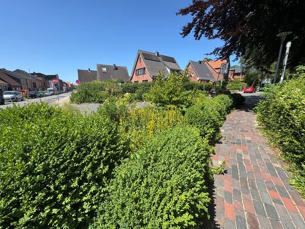 St&auml;dtische Gr&uuml;nfl&auml;che M&ouml;nkeweg/S&uuml;derstra&szlig;e