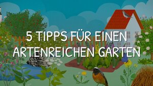 5 Tipps f&uuml;r einen artenreichen Garten