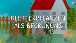 Kletterpflanzen als Begr&uuml;nung