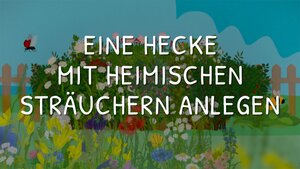 Eine Hecke mit heimischen Str&auml;uchern anlegen