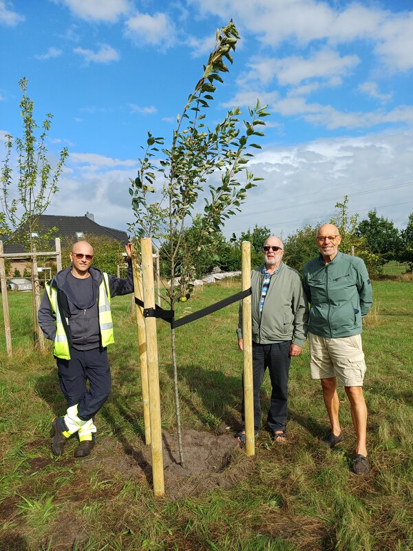 Seniorenbeirat Apfelbaum